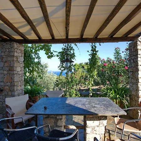 Flora Views Exciting Imagination, 2 Patitiri