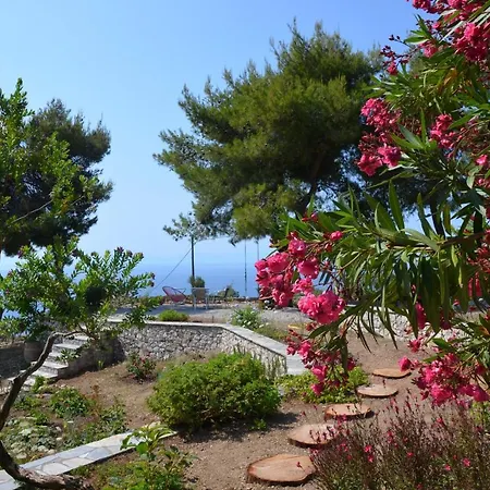 Flora Views Exciting Imagination, 2 *