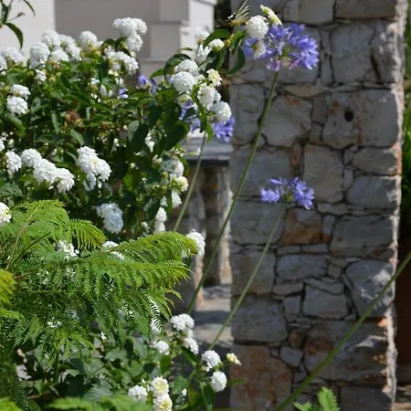 Flora Views Exciting Imagination, 2 Patitiri