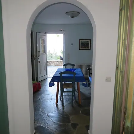 Flora Views Exciting Imagination, 2 *