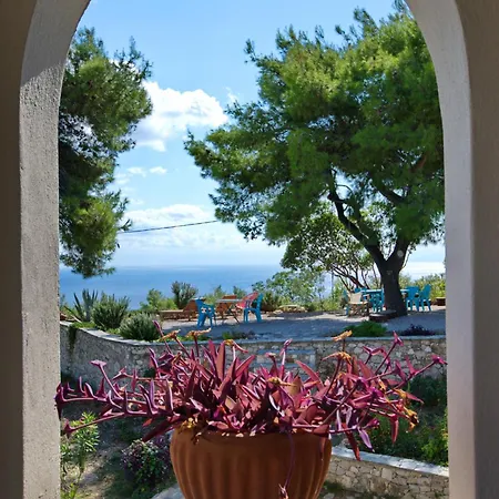 Flora Views Exciting Imagination, 2